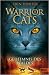 Geheimnis des Waldes (Warriors, #3)