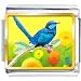 thrush4 - Thrush Photo Italian Charm Charms