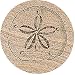 Set of Four Sand Dollar Thirstystone Coasters