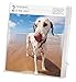 Dog Gallery 2015 Calendar