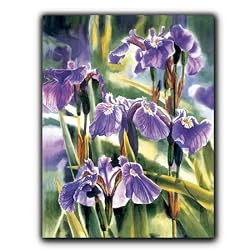 Wild Iris - Gift Enclosure Cards (set of 12)