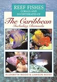 Reef Fishes Corals and Invertebrates of the Caribbean : A Diver's Guide