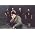 Vignette de Devin Townsend
