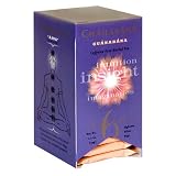 Stash Premium Chanakara Tea, Chakra 6, Guanabana, Tea Bags, 18-Count Boxes (Pack of 6)