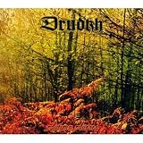 Autumn Aurora (Dig)