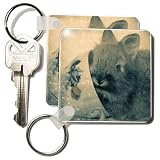 Lionhead Bunny and Teacup Digital Art by Angelandspot - Set Of 4 Key Chains
