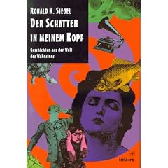 Der Schatten in meinem Kopf. Geschichten aus der Welt des Wahnsinns