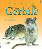 Gerbils (First Pets)
