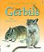 Gerbils (First Pets)