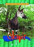 Okapis (Animals of the Rain Forest)