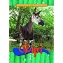 Okapis (Animals of the Rain Forest)