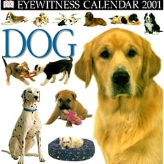 Eyewitness Calendar 2001: Dog