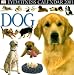 Book Eyewitness Calendar 2001: Dog