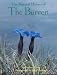 The Natural History of the Burren