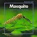 Mosquito (Stopwatch Books)