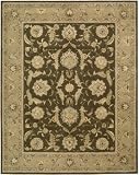 3001 Brown Light Brown/Beige by Nourison Rugs Nourison 3000 Collection