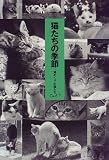 猫たちの季節―「猫めくり」の猫たち Part 3