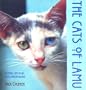 The Cats of Lamu