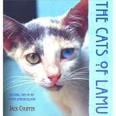 The Cats of Lamu
