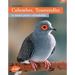 Colombes, Tourterelles : Et autres petits colombid�s