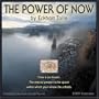 Power of Now 2009 Wall Calendar