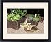 Framed Prints of Growing edibles from Ros Drinkwater