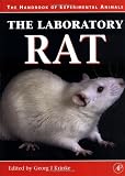 The Laboratory Rat