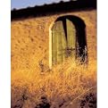 Tuscan Door Giclée Print - 11x14"