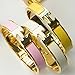 Gotomore 2015 Summer Popular Stylish Stainless Steel Anti-allergic H-shaped Buckle Bracelet Bangle -Gold + Pink/Purple