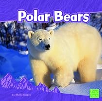 Polar Bears Polar Bears
