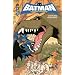 Batman, l'alliance des h�ros, tome 1