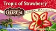 Celestial Seasonings Herb Tea, Tropic of Strawberry, 20-Count Tea Bags (Pack of 6)