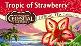 Celestial Seasonings Herb Tea, Tropic of Strawberry, Tea Bags, 20 Count Boxes 51KPqnU0Y L. SL160 Celestial Seasonings Herb Tea, Tropic of Strawberry, Tea Bags, 20 Count Boxes