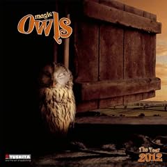 Magic Owls 2012. What a Wonderful World