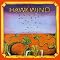 Hawkwind-- the essential tracks from the classic albums--