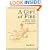 Gift of Fire, A: Social, Legal, and Ethical Issues in Computing