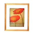 Maron- Framed Art Collection
