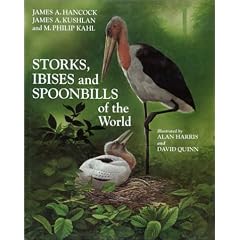 Storks, Ibises and Spoonbills of the World