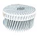 B & C Eagle 2X092HDRPC Round Head 2-Inch by .092-Inch by 15 Degree Plastic Collated Hot Dipped Galvanized Ring Shank Mini-Coil Nail (6,000 per Box)