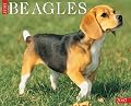Just Beagles 2007 Calendar (Just)
