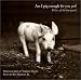 Book Am I Pig Enough for You Yet?: Voices of the Barnyard