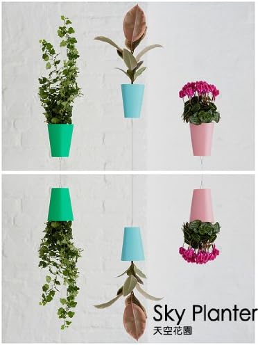 Trivalve Sky Planter - Inverted Hanging Pot / Upside Down Flowerpot/ Decorative Indoor flower pot (White)