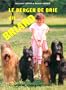 Le berger de Brie dit briard