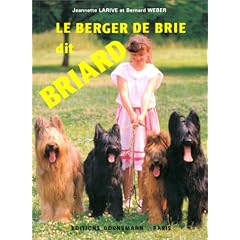 Le berger de Brie dit briard