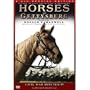 Horses of Gettysburg - Civil War Minutes� IV Box Set (2 DVD)