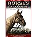 Horses of Gettysburg - Civil War Minutes® IV Box Set (2 DVD)