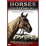 Horses of Gettysburg - Civil War Minutes® IV Box Set (2 DVD)