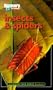 Discovery Channel: Insects & Spiders: An Explore Your World Handbook