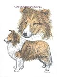 Sheltie - Double Image by Cindy Farmer
