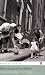 Family and Kinship in East London (Penguin Modern Classics)